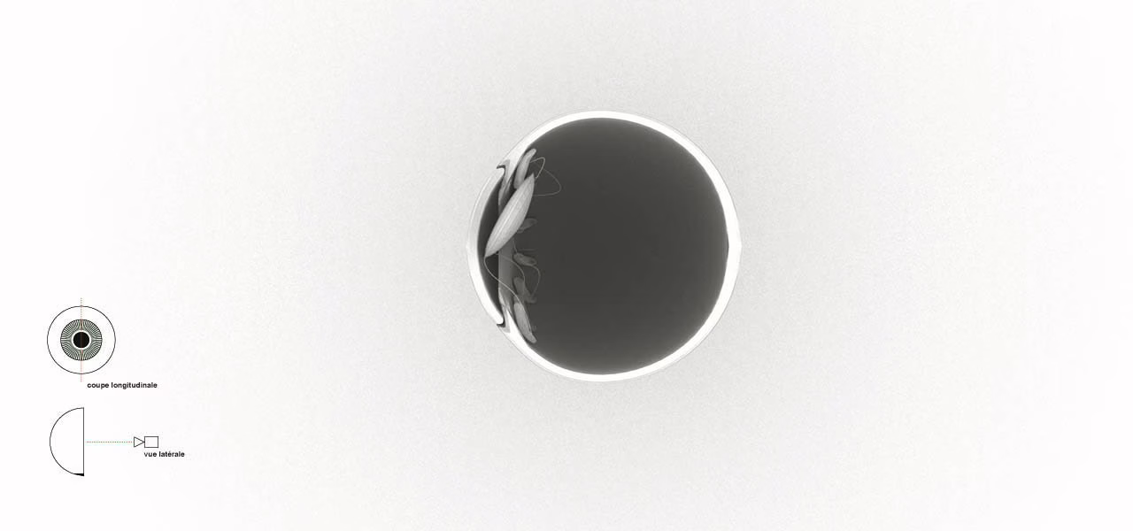 L'image présente un style graphique minimaliste et abstrait. Elle met en avant une forme circulaire avec un dégradé de remplissage, passant d'un centre sombre à un bord extérieur plus clair, créant ainsi une impression de profondeur et de dimension. Le cercle est bordé d'un fin contour blanc, ajoutant contraste et définition à la forme. À l'intérieur du cercle, on trouve des formes subtiles et irrégulières qui semblent être des représentations abstraites, évoquant peut-être des formes organiques ou fluides. L'image comprend également deux petits diagrammes sur le côté gauche. Le premier diagramme est un motif circulaire avec des lignes radiales, étiqueté "source longitudinale," suggérant une source ou un motif d'onde longitudinal. Le second diagramme est un demi-cercle avec une flèche pointant vers la droite, étiqueté "vague latérale," indiquant une onde ou un mouvement latéral. Dans l'ensemble, l'image combine simplicité géométrique et éléments abstraits, transmettant un sentiment de modernité et de sophistication.
